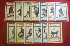 GAZZETTA DEL BIBLIOFILO  SERIE