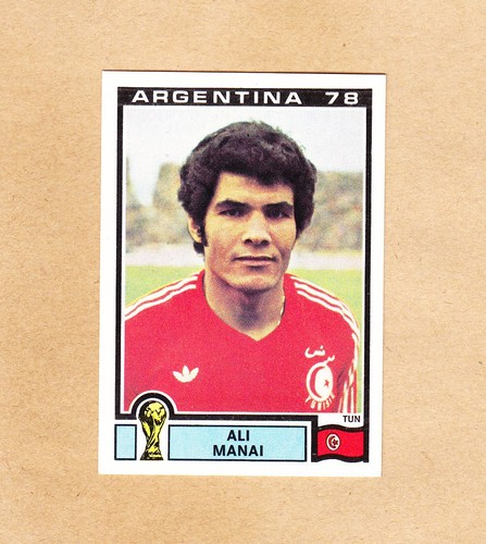 Panini mondiali fifa - panini,