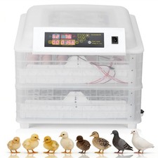 Large Home Famr 112 Eggs