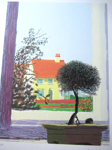 Litografia david hockney - david,