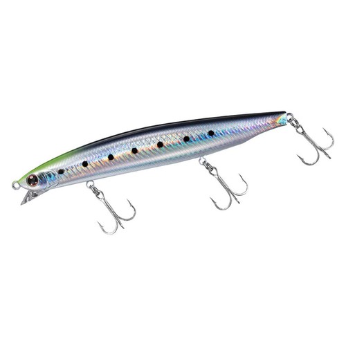 Daiwa shoreline shiner - daiwa, z