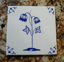 Richard Ginori Piastrella