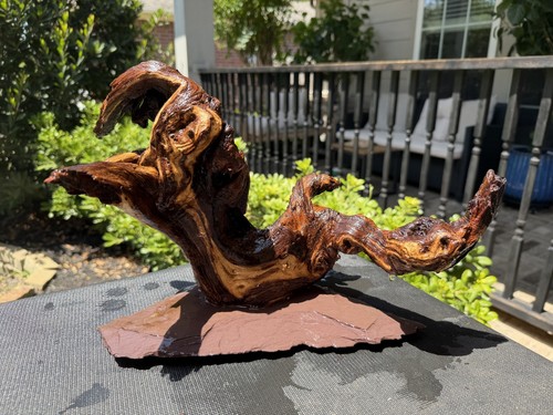 Driftwood mopani acquari pesci - mopani,