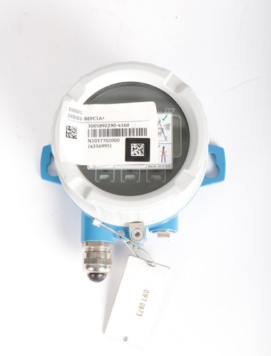 Endress hauser dkx001 - +,