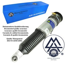 Ammortizzatore a molla BMW