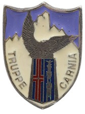 Distintivo Spilla Battaglione