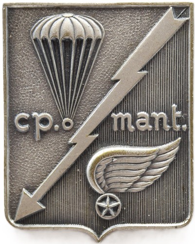 Distintivo spilla folgore - spilla,