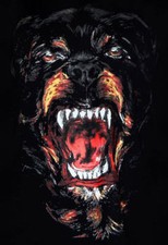 Denti bocca cane Rottweiler