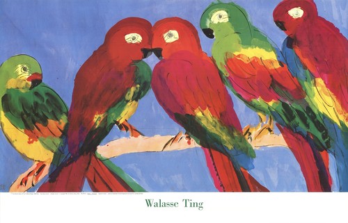 Walasse ting pappagalli - ting,
