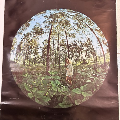 Poster vintage foresta ragazza