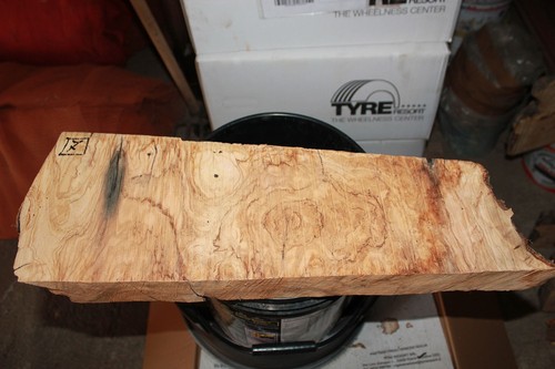 Legno di - (resin-epoxy),