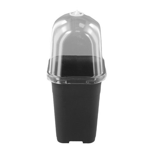 Vaso per piante - , design