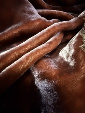 Tessuto Velluto Seta Lungo 4m