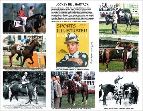 Compilazione fantino corse