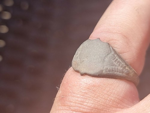 Anello lega rame - in, di