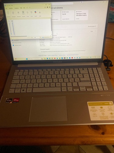 Asus vivobook ryzen - go, |