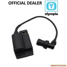 CENTRALINA ELETTRONICA