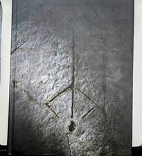 Bloodborne FuturePress