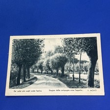 V. MONTI STAGIONE ESTIVA - CARTOLINA PICCOLA BIANCO E NERO