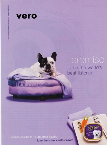 Cesar dog food - food, english