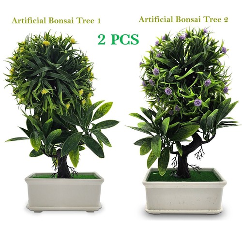 Pezzi bonsai albero - 2,