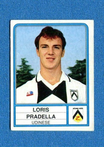Calciatori panini 1983 - panini, 1983-84