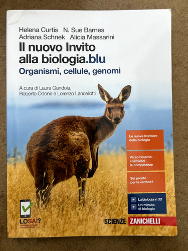 Nuovo invito alla - il,