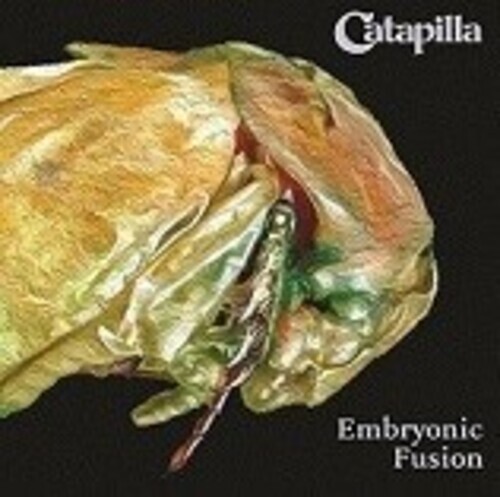 Embryonic fusion catapilla - embryonic,
