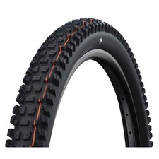 Schwalbe Albert Tubeless