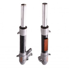 Coppia steli forcella Malaguti