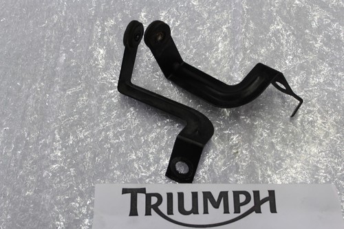 Triumph sprint 955i - sprint,