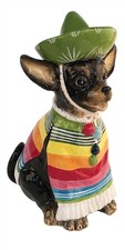 Fiesta chihuahua 22071 - fiesta,