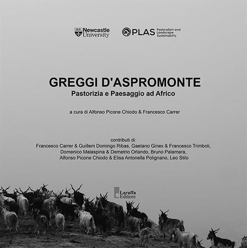Libro nuovo greggi - libro,