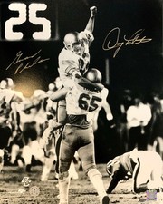 Doug Flutie Gerard Phelan signed Boston College 1984 Hail Mary 16x20 photo LEAF
