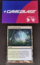 MTG Misty Rainforest -