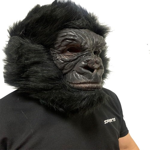 Myth square gorilla animal - [myth,