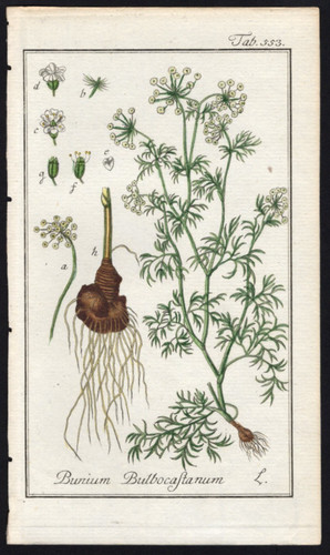 1800 johannes zorn - 1800, icones