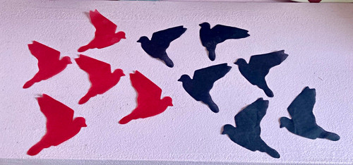 Evanescence confetti - evanescence,