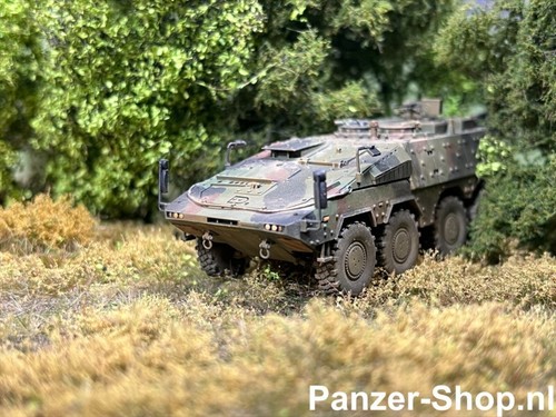 Boxer gtk carri - boxer,