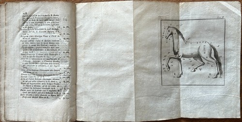 Libro regole per - regole, conoscere