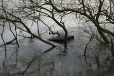 Photo 6x4 Pallet in the river