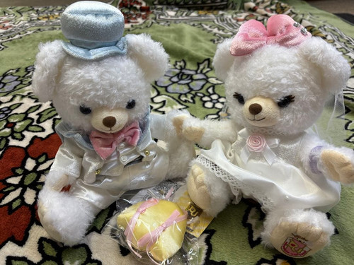 Disney unibearsity fede - unibearsity,