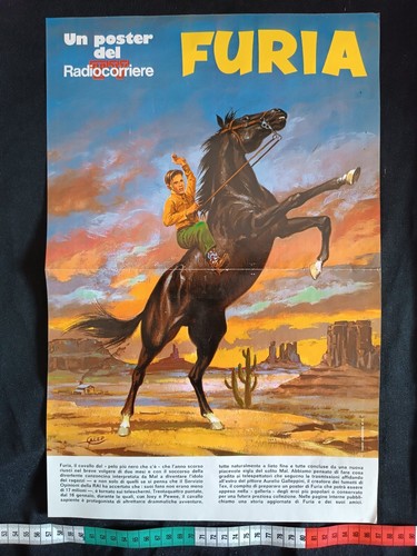 Poster furia cavallo - furia, nero