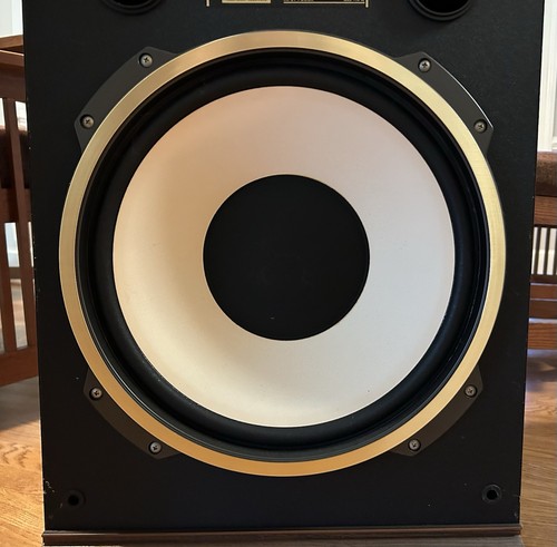 Altoparlante woofer vintage