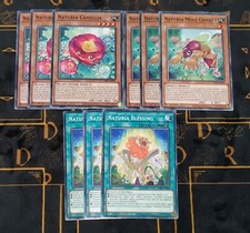 YUGIOH Naturia Starter Deck /