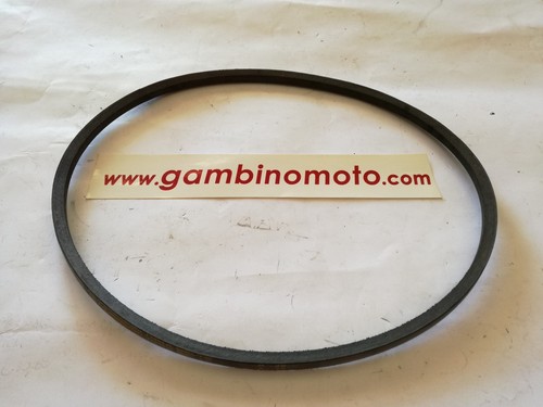 Cinghia a38 per motozappa - cinghia,