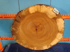  #8355 1 1/4" spessore fetta