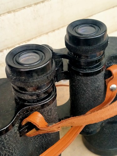 Binocolo zenith 20 anno - 50, x