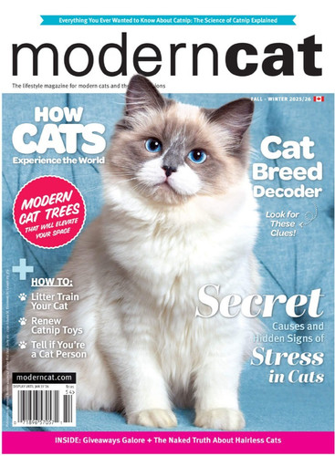 Modern cat magazine - modern,
