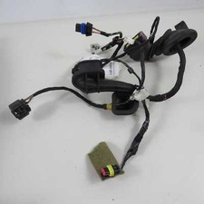 Right rear door wiring Fiat